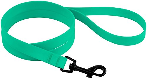 Collardirect Waterproof Dog Leash Small Medium Large Durable Pet Leashes For Walking Training Running Pink Black Blue Orange Green (L, Mint Green) #TOP1