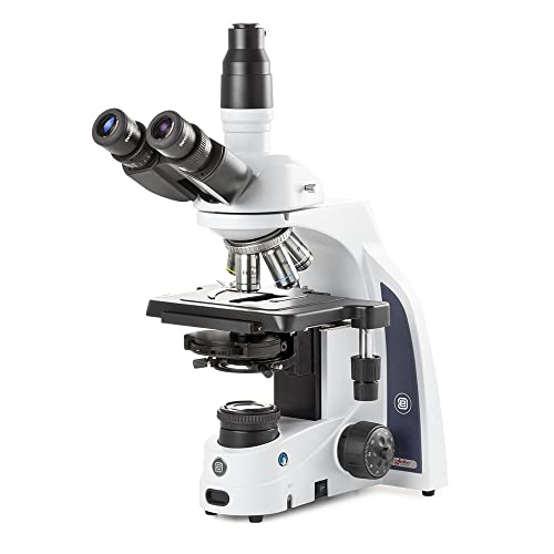 Image of iScope trinocular Microscope with EWF 10x /22mm eyepieces, Plan Phase PLPHI 10 /20 /S40 /S100x Oil iOS objectives, Zernike Phase Contrast disc Condenser darkfield Stop, rackless Stage, Globe | Euromex