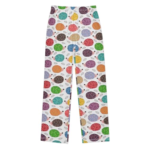 ZZXXB Colorful Hedgehog Print Boys Long Pants Soft Trousers Elastic Waist Kids Lounge Bottoms with Pockets S-XL