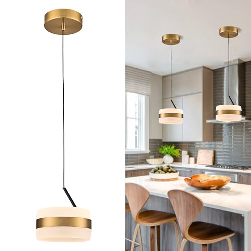 DANSEER Modern LED Indoor Semi-Flush Mount Pendant Light Fixture, 3000K