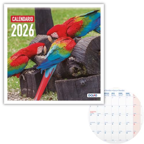 Dohe   Calendario Pared 2026 12 Meses Enero a Diciembre, Mes Vista, 30x30 cm, Idioma Español, Encuadernación de Grapas, Espacio para Notas, Planning del Año, Papel Grueso 120 gr/m²   Aves Exóticas