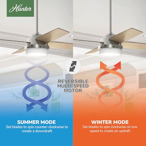Image of Hunter Dempsey, Indoor, Ceiling Fan, Modern, 52 inch, Brushed Nickel