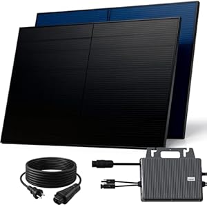 41c91vsv+YL. SL500 . SS300