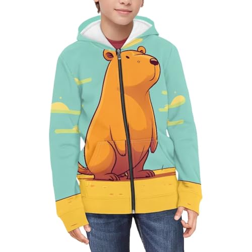 Hoodies Sweatshirts for Kids, Full Zip up Long Sleeve Hooded Pullover Tops with Pocket for 6-16 Years3