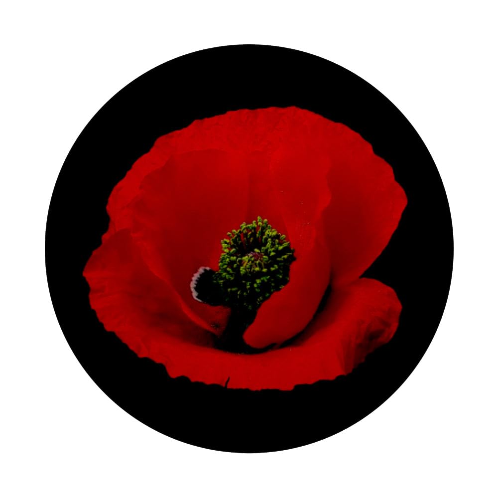 Amazon.com: Red Poppy Pop Socket on Black - Red Poppies - Flower