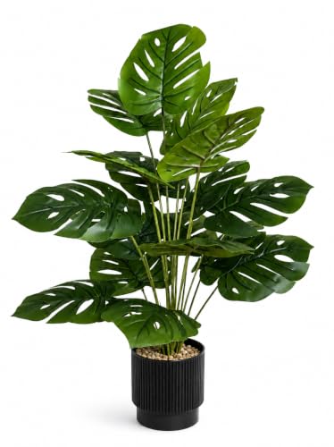 Image of Cocco.BUA Artificial Plant with Black Pot, 18 Leaves, 76 CM (2.5 Feet) (Monstera Plant)
