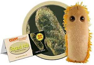 Peluche Gigante Del SARS Coronavirus &ndash; Regalo Originale E Divertente Per Adulti E Bambini (3-103 Anni)