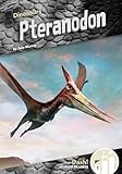 Pteranodon (Dinosaurs Set 2)