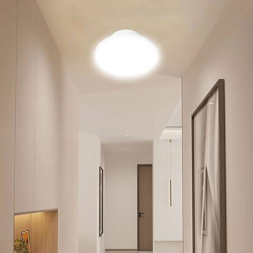 LEDV[OCg ^ `  V[OCg  Ɩ L ֓ d 8W 20^ 920LM F 5500K | VƖ ȃGl tȒP Hsv RpNg ی^ 䏊 ʏ gC u L 