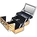 SHANY Chic Makeup Train Case Cosmetic Box Portable Makeup Case Cosmetics Beauty Organizer Jewelry storage with Locks, Multi trays Makeup Storage Box with Makeup Mirror - Golden House