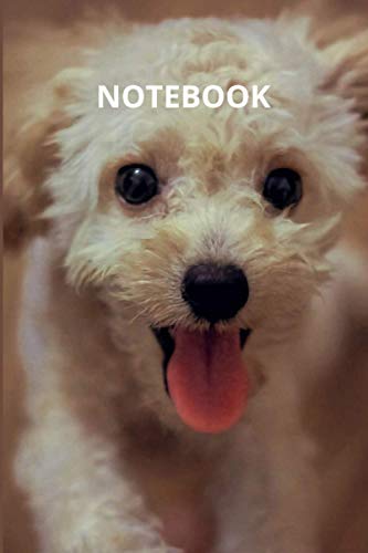 NOTEBOOK DOG!: NOTEBOOK 6''X9''