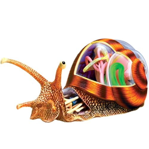Fgtgwfc 20972 4D Snails Anatomy Skeleton Model, Animal Anatomy 32 Bodies And Detachable Parts Of The Model Anatomical Model thumb #1