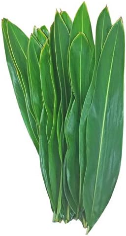 Amazon 沖縄産 月桃の葉30枚セット 未洗浄 切り花 オンライン通販