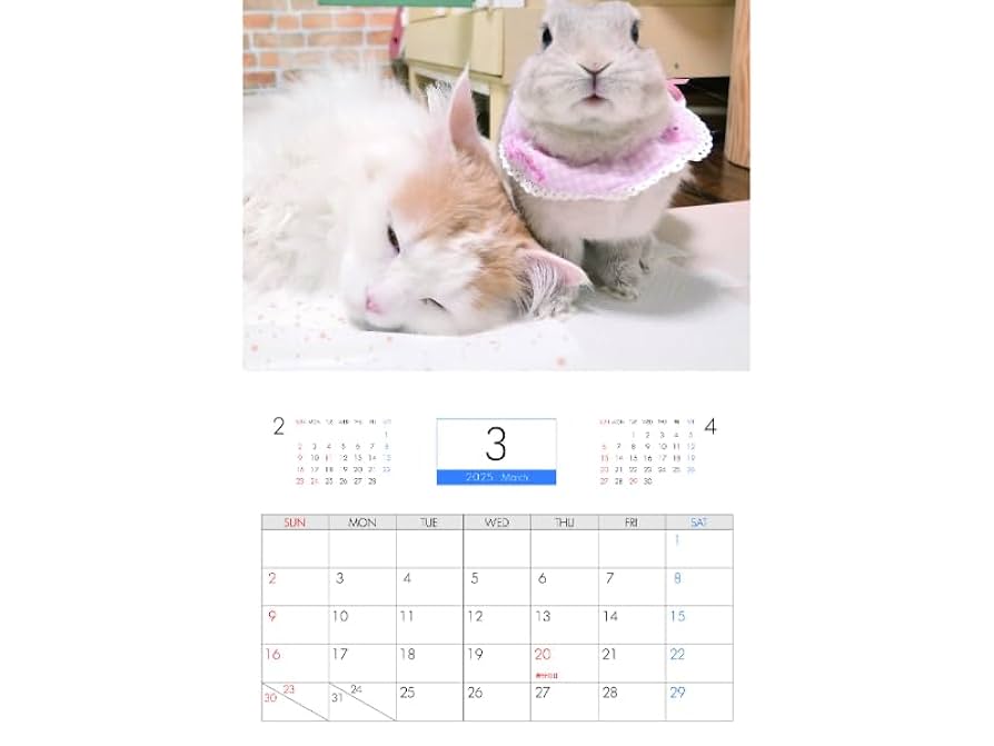 うさぎちゃん・花 宇崎花