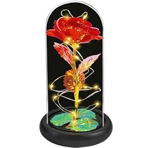 Jeekgsk Valentines Day Gifts for Her,Birthday Gifts for Women,Light up Rose in Glass Dome,Roses Flower Gifts for Mom,Valentine’s Day Gifts Wedding Anniversary Thanksgiving (Red)