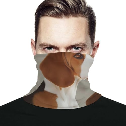 TKJMCSW Neck Gaiter Face Mask for Cold Weather Beagle Dog Face Cover Scarf for Men Women Elastic Headbands Wind-proof Bandana for Skiing Fishing Hiking Cycling
