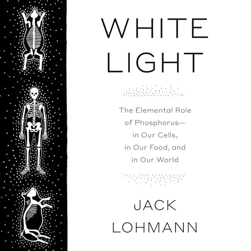 White Light by Jack Lohmann episode artwork