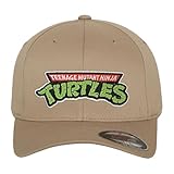 Teenage Mutant Ninja Turtles