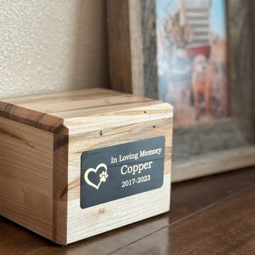 Image of Custom Engraved Name Plates with Adhesive, Made in The USA, Personalized Pet Urn, Memorial Plaque, Picture Frame, Art Tag, Flag case (Gold Plate /Black Text, 1x3 Inch)