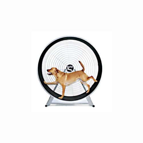 GoPet TreadWheel for Large Dogs up to 150 Pounds