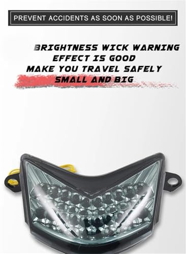 Luces traseras Ninja ZX10R con intermitentes LED integrados 3
