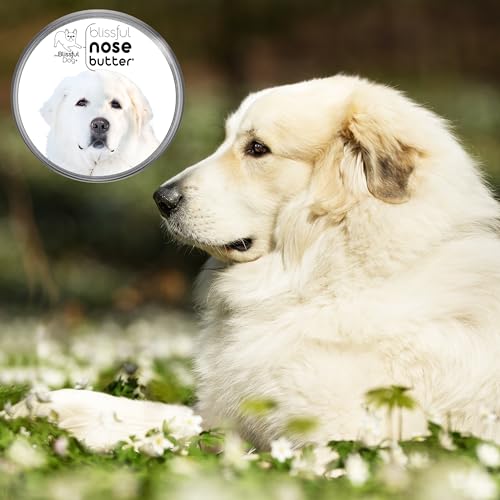 Image of The Blissful Dog Great Pyrenees Nose Butter for Dry, Cracked Skin, Lick-Safe Dog Nose Balm with Moisturizing Shea Butter, Almond, Olive, and Essential Oils, Pet Supplies, Uncented, 1 oz.