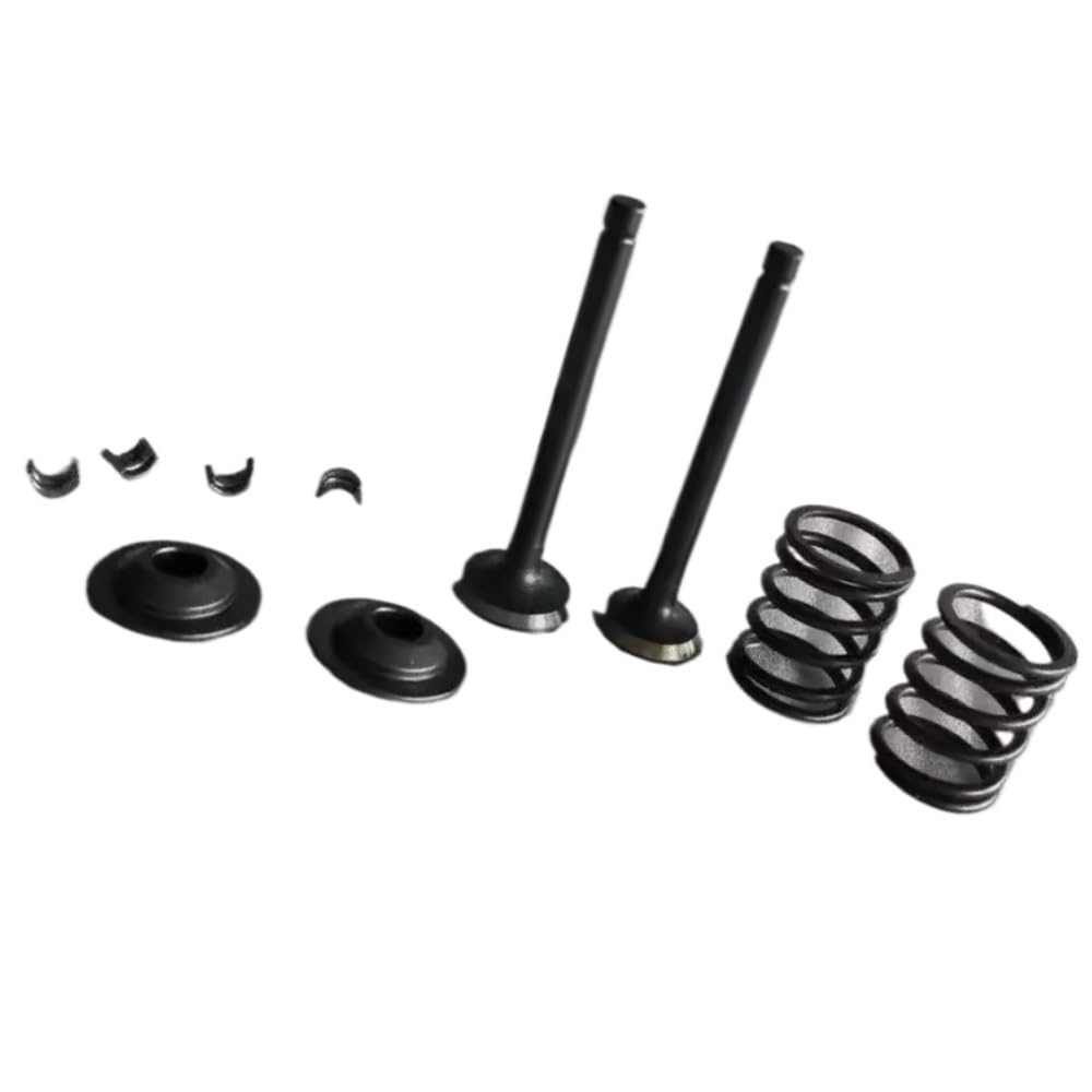 INTAKE AND EXHUAST VALVE SPRING SPIN Fit For EH12 EH12-2D EH12-2 MT72FW ENGINE PARTS