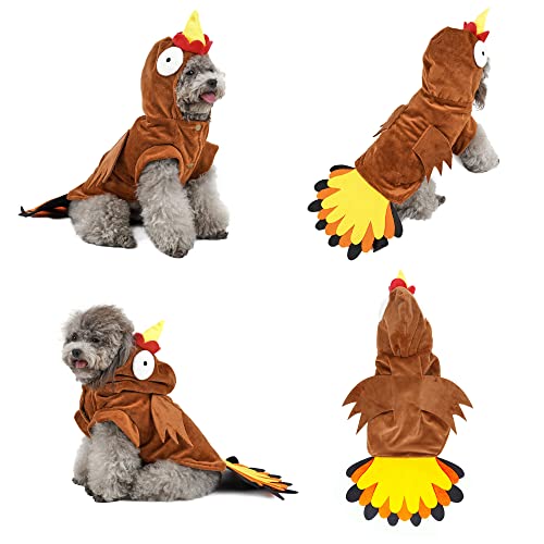 Thanksgiving Costumes for Dogs