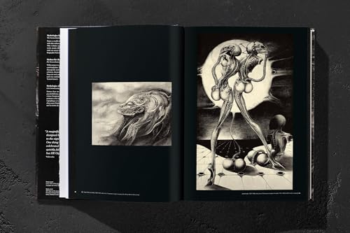 Hr Giger - 4
