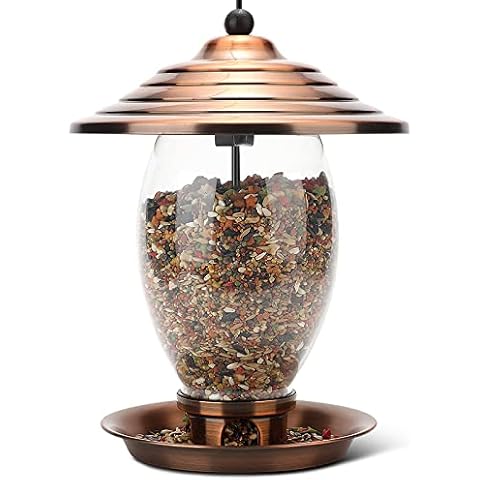 REALEAD Bird Feeder, Wild Bird Feeders for Outside,Metal and Glass Bird Feeder with 3 lbs Seed Capacity, Bird Feeders for Outdoor Hanging for Garden Yard Cover
