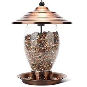 REALEAD Bird Feeder, Wild Bird Feeders for Outside,Metal and Glass Bird Feeder with 3 lbs Seed Capacity, Bird Feeders for Outdoor Hanging for Garden Yard