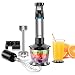 Produktbild FRESKO Stabmixer Set, 600W Elektrische Pürierstab mit Stufenlose Geschwindigkeiten Einstellbar, 4 Edelstahl-Mixfuß, 4-in-1 Mixstab für Smoothie, Suppen, Joghurt, Saucen, Babynahrung, Edelstahl
