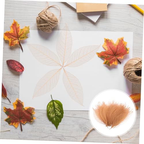 50 hojas esqueleto de caucho natural marrón para manualidades miniatura 7
