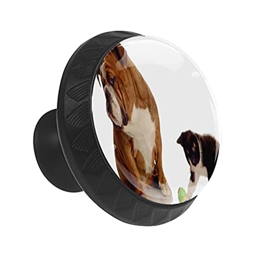 Rolig kattunge och engelsk bulldog låda knopp draghandtag kristallglas cirkelformade skåpknoppar med skruvar för hemmakontor skåp skåp (35 mm, 12 st)