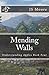 Mending Walls (The Understanding Apples Series)