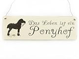  Interluxe Vintage Deko Schild Türschild DAS Leben IST EIN Ponyhof Shabby Schild mit Spruch Nostalgieschild Landhaus