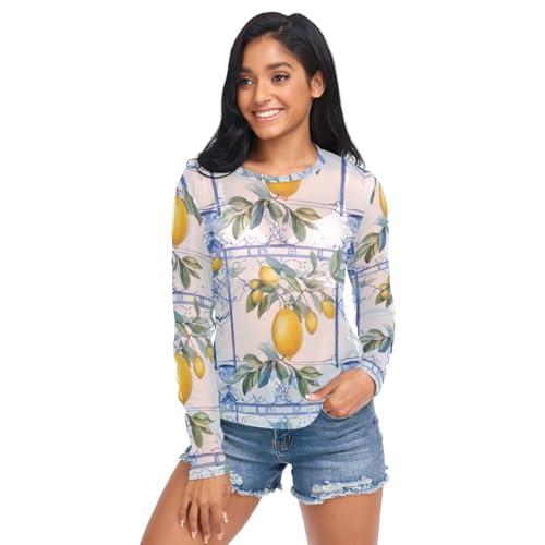 Vintage Lemon Blue Mesh Long Sleeve Top, Transparent Tops for
