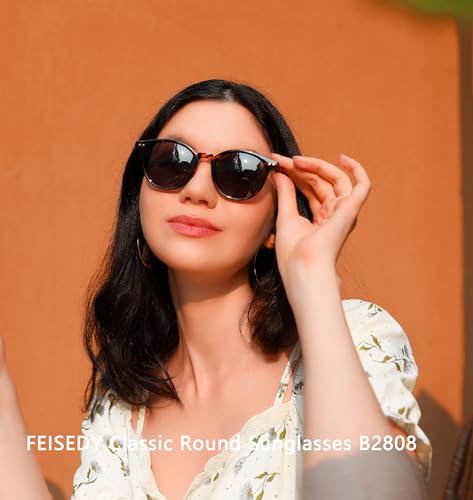 FEISEDY Retro Round Polarized Sunglasses Women Men Trending Shades Fashion Circle Sun Glasses B28082