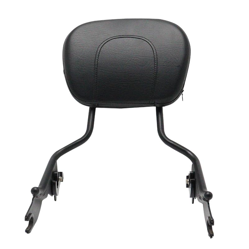 Respaldo para pasajero de motocicleta ideal para rutas de costa y viajes largos en Electra Glide