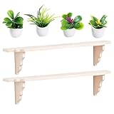 6 Puppenhaus Zubehör, Miniatur Zubehör für Feengarten, Puppenhaus Dekoration, Miniatur Gartenmöbel, Mini Pflanzen Set, Zubehör für Puppenhaus Küche