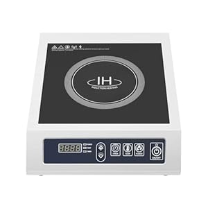 Arbgo Einzel Induktionskochplatte IH 10-Stufen