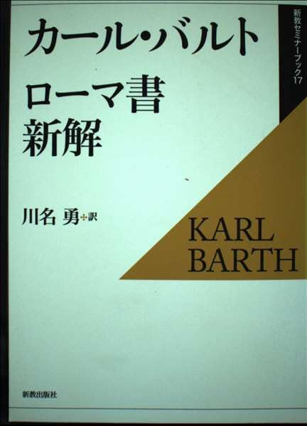 ローマ書新解 (新教セミナーブック 17)