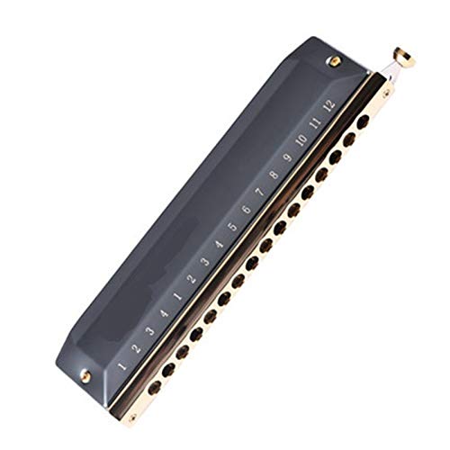 KIRANDIE Chromatic Harmonica 12 16 Trous Bouche d’organes clés de Instrumentos C Phosphor Bronze Reeds Instruments de… - Les Beatles, Paul McCartney, John Lennon, RIngo Starr, George Harrison KIRANDIE Chromatic Harmonica 12 16 Trous Bouche d'organes clés de Instrumentos C Phosphor Bronze Reeds Instruments de…