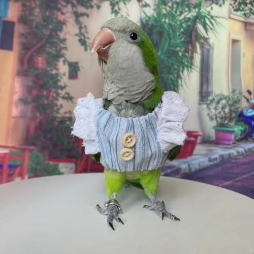 CXYYXF Conjunto de fraldas para pássaros, fralda protetora de papagaio, protege produtos de estômago