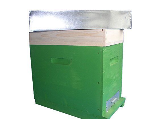 Apistore ARNIA D.B. CUBO da 6 FAVI in Legno