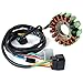 Imagen de Motocicleta Magneto estator Bobina de estator para 31120-HP1-601 TRX450ER TRX450R TRX 450 ER R 2006 2007 2008 2009 2010 2012 2013 2014 TRX-450ER TRX-450R