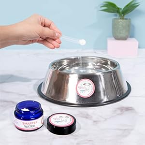 Smarter Water  Pet Dental Care Solution Pet Water Additive Best Way to Eliminate Bad Dog Breath  Cat Bad Breath  Fights Tartar  Plaque  Add to Water Vet Recommended 45 Servings  Cucciolini Doodles Smarter water  pet dental care solution pet water additive Best way to eliminate bad dog breath  cat bad breath  fights tartar  plaque  add to water vet recommended 45 servings   cucciolini doodles