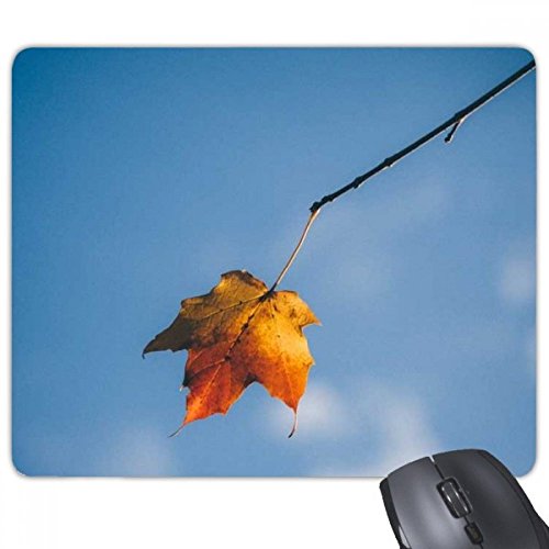 Tapis de souris cadeau beatChong Sky Maple tapis rectangle paysage pour passionnés d'informatique