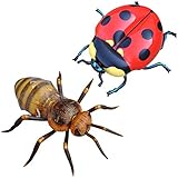 Jet Creations Bugs Inflatable Ladybug Honeybee Bumble Bee Set Toys Educational Decorations Props Gift & Favors Stuffed Animals An-BUGBEE, Multicolor