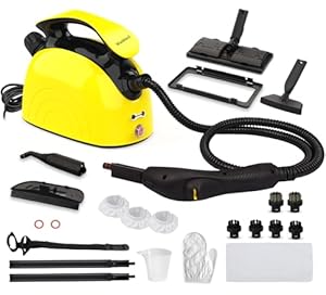 Waitbird STC-EU168 Dampfreiniger mit 21 Zubehörteilen